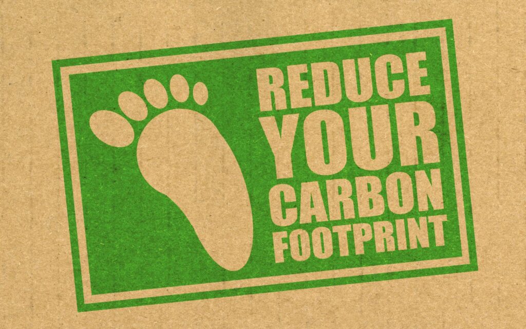 Reduce Energy Use in Your Home