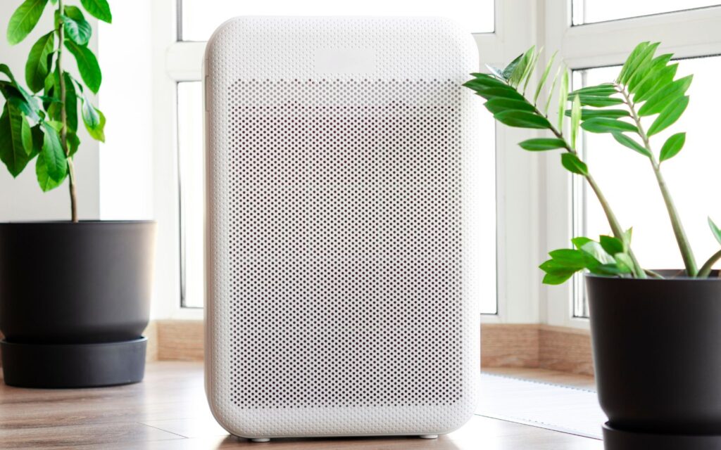 Invest in an Air Purifier