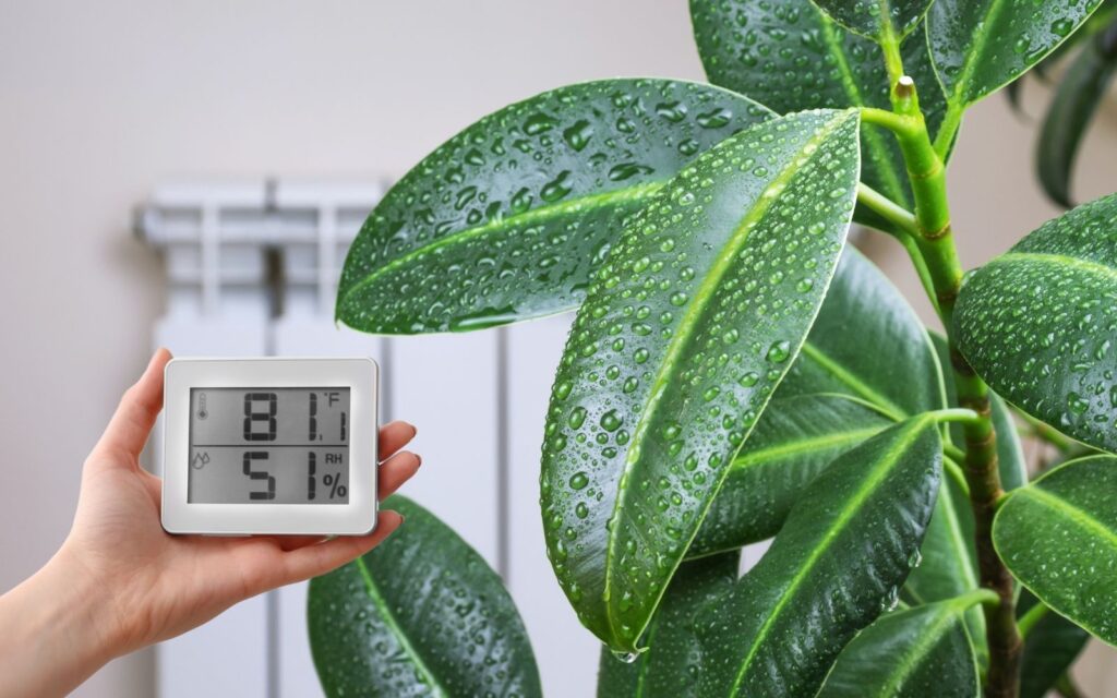 Reduce Indoor Humidity to Prevent Mold Growth