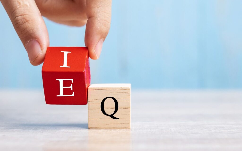 What Is Emotional Intelligence